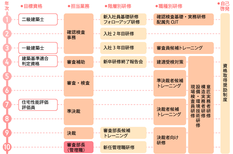 キャリアパスイメージと教育研修制度